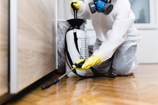 Best Emergency Pest Control  in Waynesville, OH