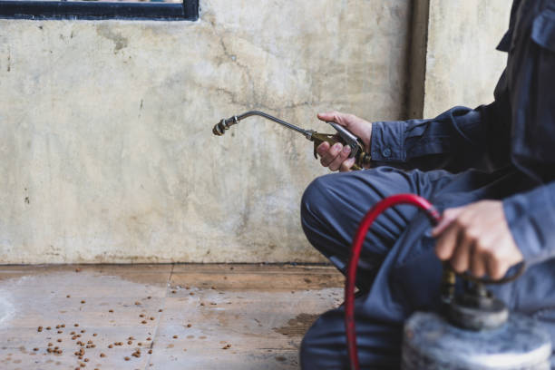Best Affordable Pest Control Services  in Waynesville, OH
